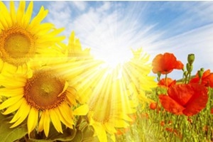 正能量傳送門：萬順叫車合伙人，拾金不昧暖人心